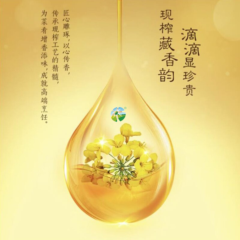 新大羌(XINDAQIANG) 小榨香菜籽油5L高清大图