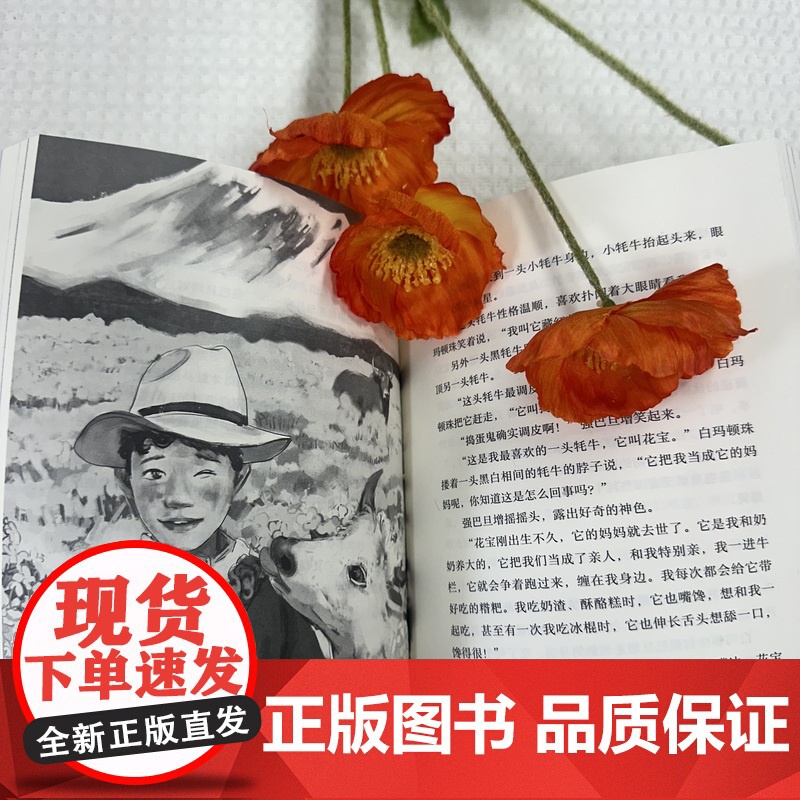 会发光的声音 赵菱“一路繁花”系列 从扬子江畔到雪域高原 两地少年共学习同成长高清大图