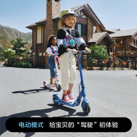 Ninebot九号儿童电动滑板车青少年两轮代步车E8站骑 E8蓝色