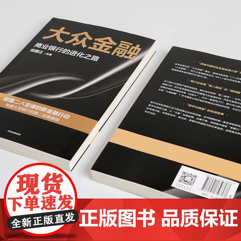 大众金融 田国立 著 全景式展现商业银行转型发展的创新路径 提供全行业数字化转型借鉴高清大图