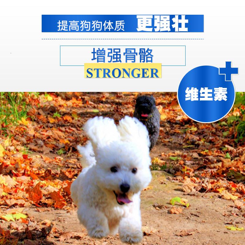 泰迪贵宾成犬狗粮15kg粮中小型犬美毛狗粮高清大图