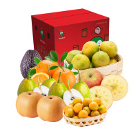 百果园公司 春迎团圆水果礼包 约4.9KG 春节年货节礼包 时令水果