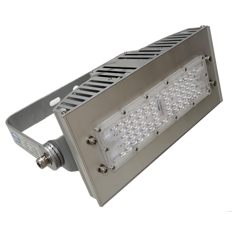 宝富睿光电 BFL3050T AC220V IP66 LED投光灯-(60W)(含安装)(计量单位:套)银色