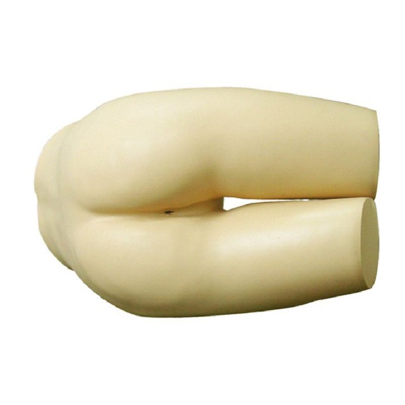 戎兴 教学模具 RX003 52*35*34cm 5kg