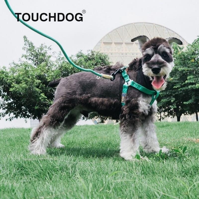 S （适合5-16斤） 紫色脖圈套装 Touchdog它它狗狗牵引绳狗绳小型犬胸背带宠物狗项圈泰迪法斗狗链