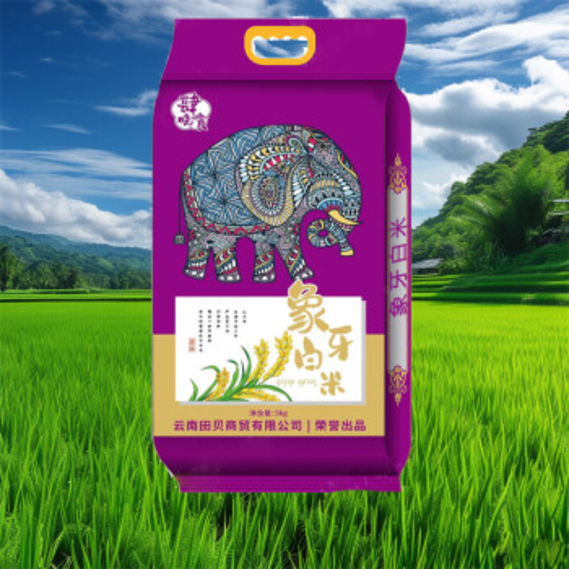 SN09 米油套餐(实惠)(局机关) 象牙白米5KG*2+老挝香米5KG*2+一级菜籽油4L*2高清大图