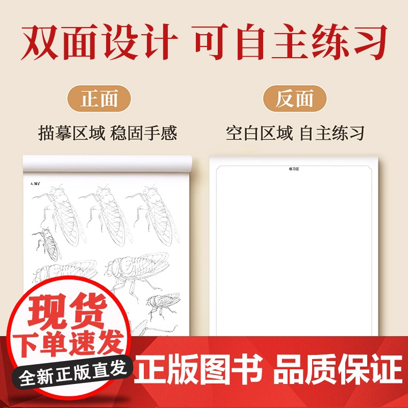 中国画白描入门描摹本国画工笔花卉人物美术套装画本工具描红书初学者画画临摹画册毛笔绘画练习教材高清大图