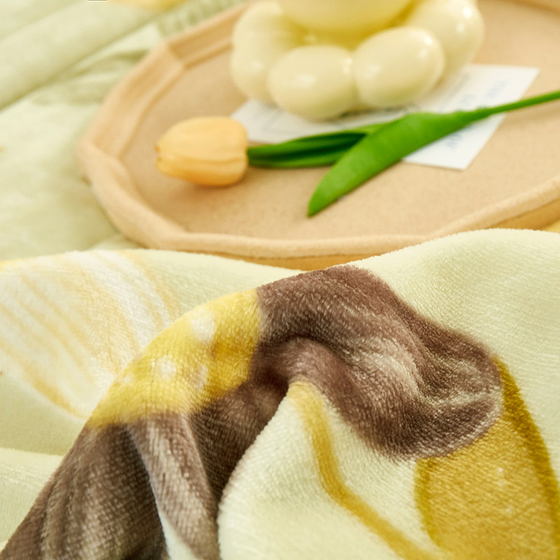 约克罗兰四季毛毯冬季双人加厚保暖200*230cm学生宿舍保暖毛毯绵柔温感毯高清大图