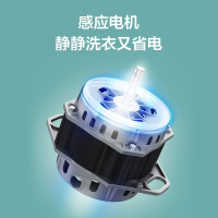 美的洗衣机8.2kg全自动波轮家用大容量健康免清洗MB82V32