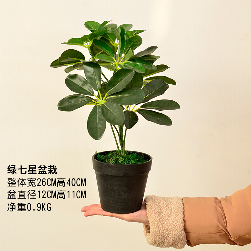 北欧仿真多肉植物盆栽摆件ins家居客厅室内假花盆景装饰绿植摆设杏色绿七星