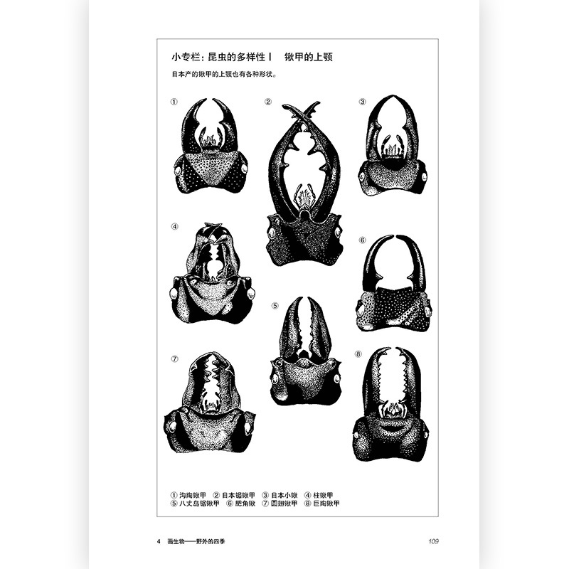 [正版]如何描画生物:观察自然的方法 出版