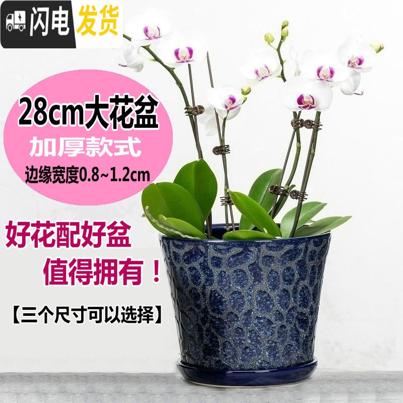 三维工匠28cm大码花盆陶瓷特大号绿萝花盆简约分体托盘陶瓷艺术兰花盆个性 灰色1768点点梅(灰) 外直径[约2花盆容器高清大图