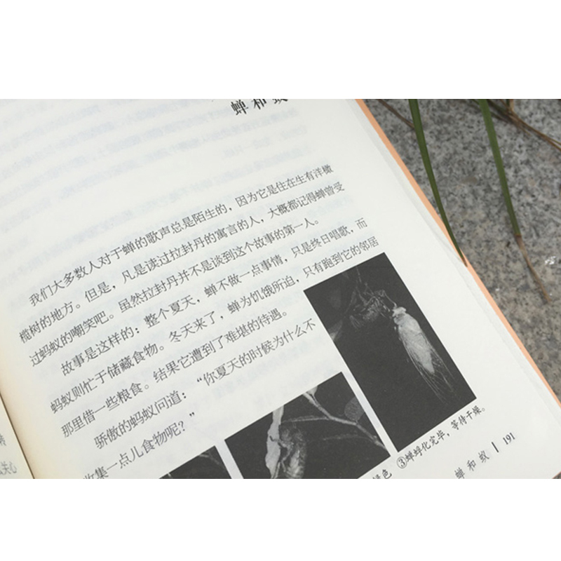 昆虫记 [正版] 昆虫记 法布尔原著 八年级上册J材阅读8年级青少版初中生课外书学生世界文学小说名著书籍读物