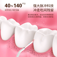 苏宁宜品电动冲牙器家用便携式牙缝水牙线口腔牙齿清洁喷牙洁牙洗牙器去牙泽迷你成人口腔美牙仪 2喷头(薄荷绿)