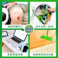 滴露(Dettol)消毒液250ml家居清洁家用宠物除菌液衣物消毒水旅行便携装孕妇儿童内衣内裤一起洗