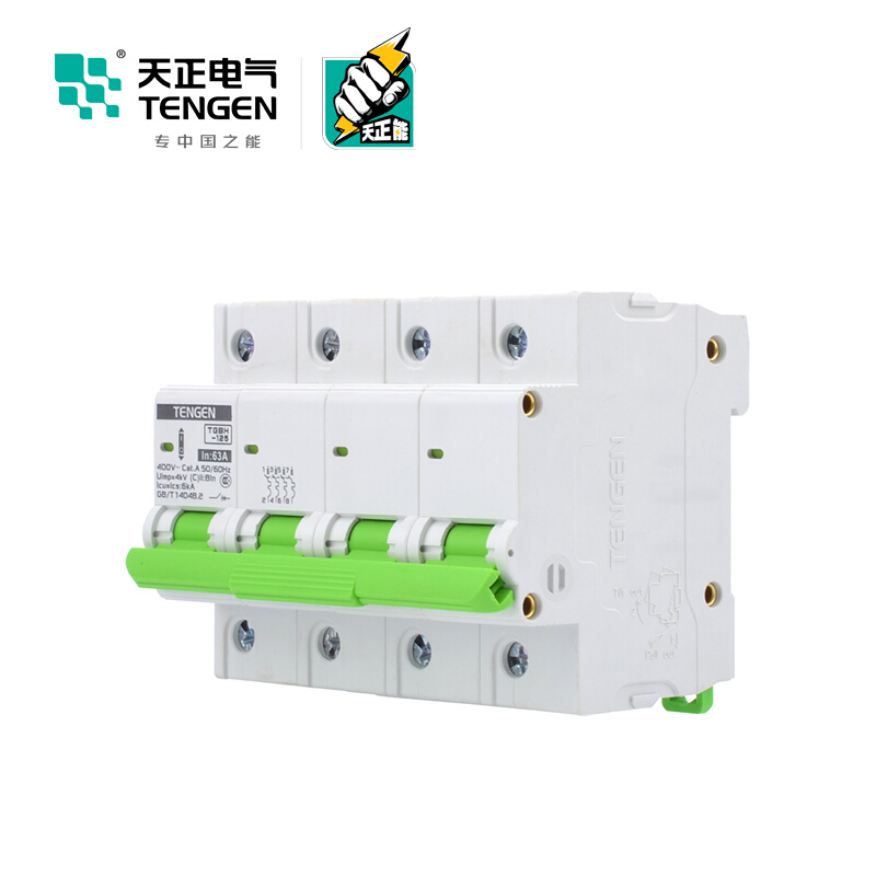 天正电气瑞彩系列TGBH-125 空气开关 6KA 4P C 100A 335013800251 微型断路器