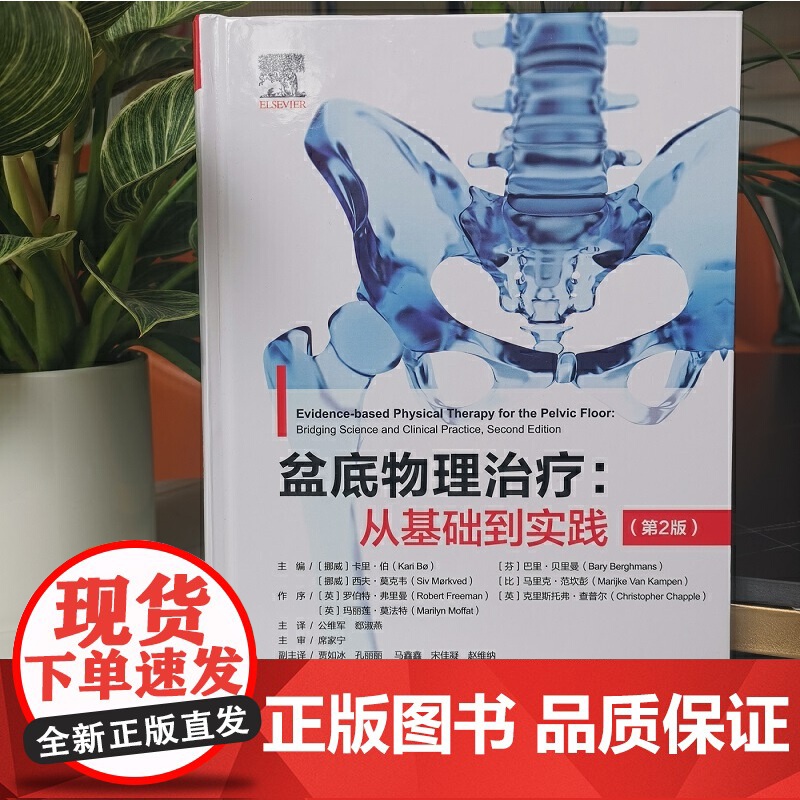 盆底物理治疗从基础到实践 第2版 盆底物理解剖运动科学 神经系统疾病导致的盆底功能障碍循证物理治疗盆底肌骨训练康复基础高清大图