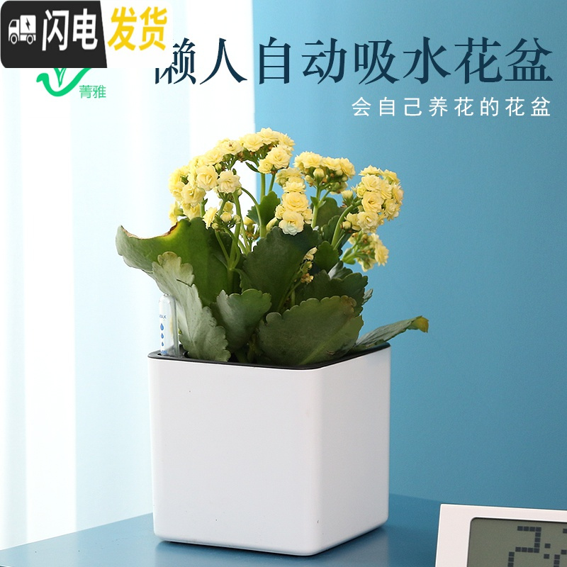 三维工匠正方形树脂白色创意多肉水仙懒人自动吸水塑料大花盆绿萝吊兰 白色特大号无需棉线 小花盆容器