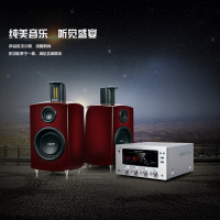 neon neon DTB980音响发烧电子管前胆后石带式高音烤漆家用三分频音箱 发烧CD音响
