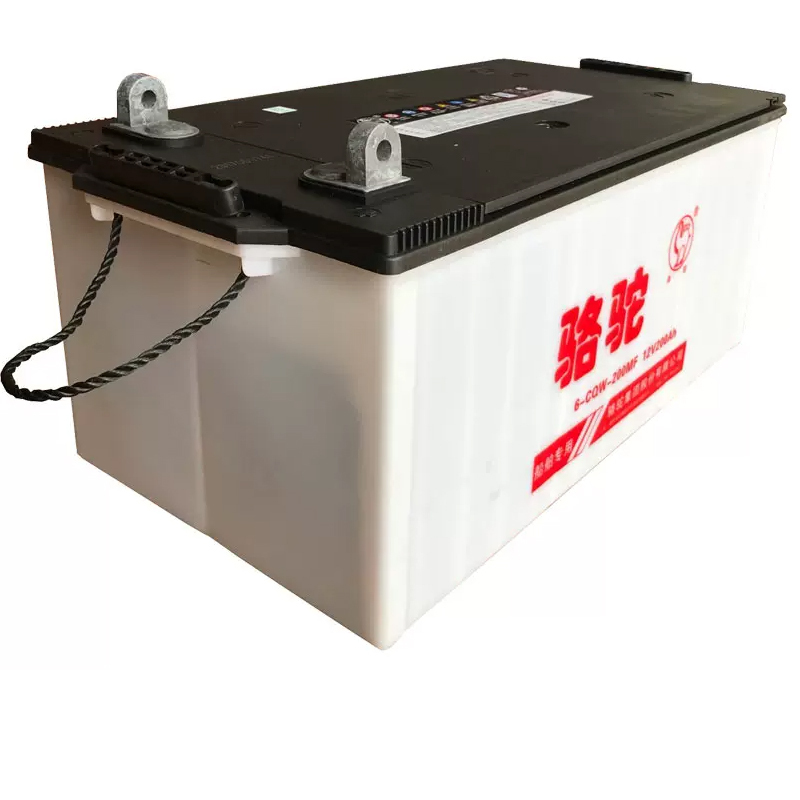 骆驼6-cQw-200AH蓄电池