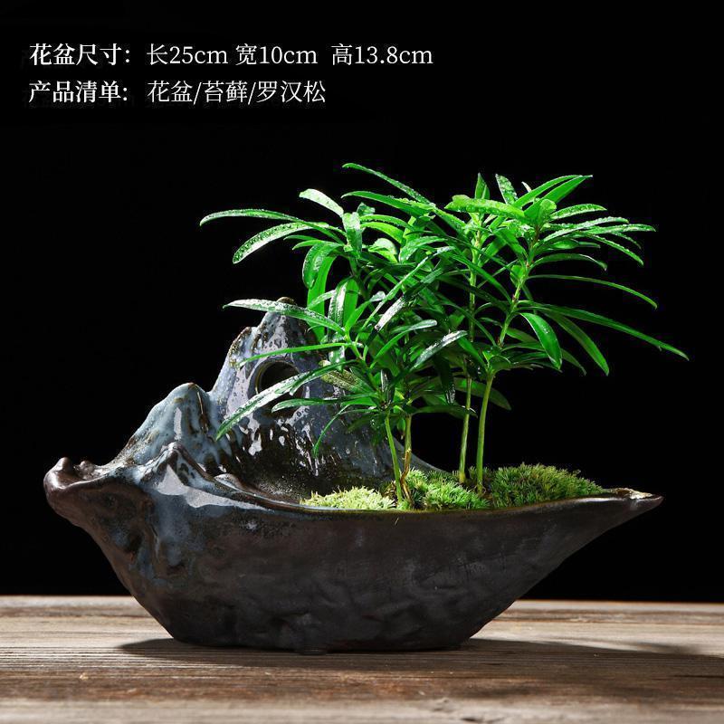 美帮汇创禅意哥窑陶瓷花盆室内家用桌面简约透气盆栽绿萝兰植物装饰品高清大图