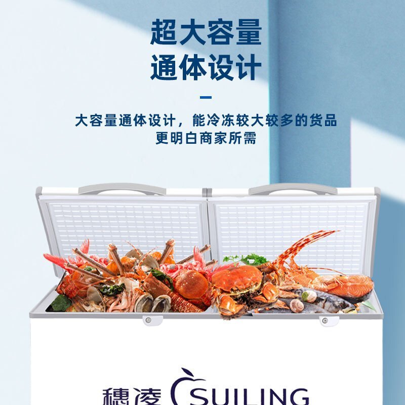 穗凌(SUILING)BD-728单温大卧柜冰柜冷冻冷藏柜转换 厨房冰箱保鲜柜速冻顶开门密封柜商用雪柜 708升