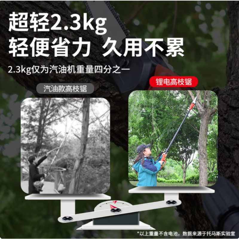 TOMSPOWER 可伸缩高空锂电链锯 无刷修枝充电加长杆锯树神器 [专业高枝锯]2电1充(4小时)