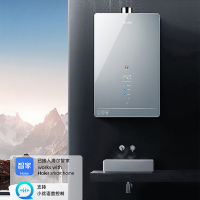 海尔(Haier)燃气热水器天然气16升家用即热强排式水伺服恒温四段精控微火9级抗风五重抑菌APP智控 HP6