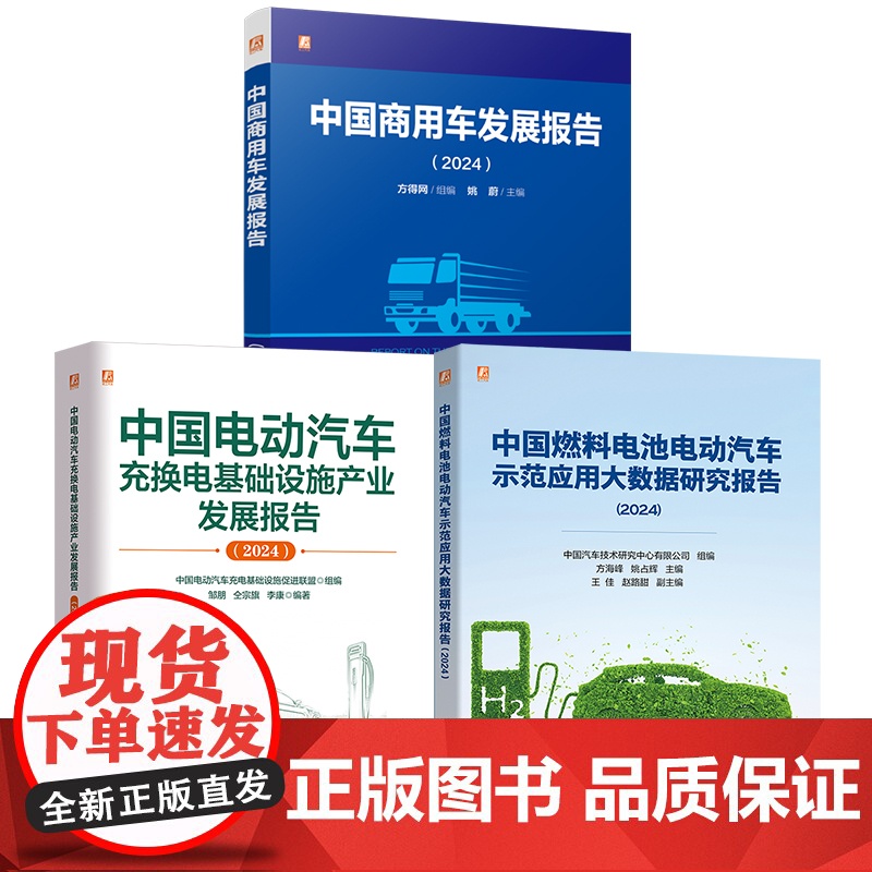 套装 中国汽车行业发展报告(共3册) 汽车 电动汽车 充电 充电基础设施 电动汽车充电 充换电 充换电基础设施 新能高清大图