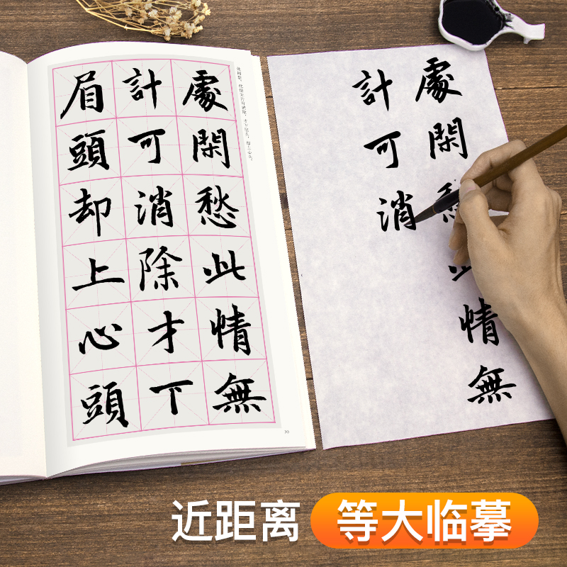 [醉染正版]赵孟頫楷书集字宋词 简体旁注楷书入门基础收录赵孟俯经典碑帖集古诗词作品集欣赏成人学生临摹教程楷书毛笔书法练字高清大图