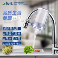 杨枝净水器陶瓷滤芯滤芯厨房水龙头滤水器家用直饮自来水过滤器一机二滤