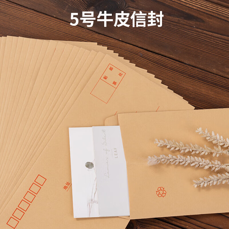 得力5号牛皮纸信封20张 220*110mm