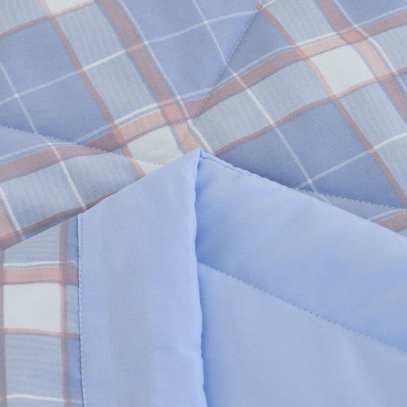 罗曼罗兰(ROMROL)春夏新款夏被 大豆水洗夏被 夏日清风 150*200CM图片