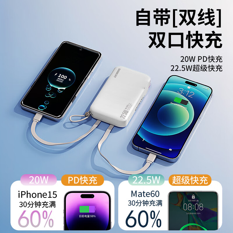 领臣 AC充电器 多功能移动电源PS-D10