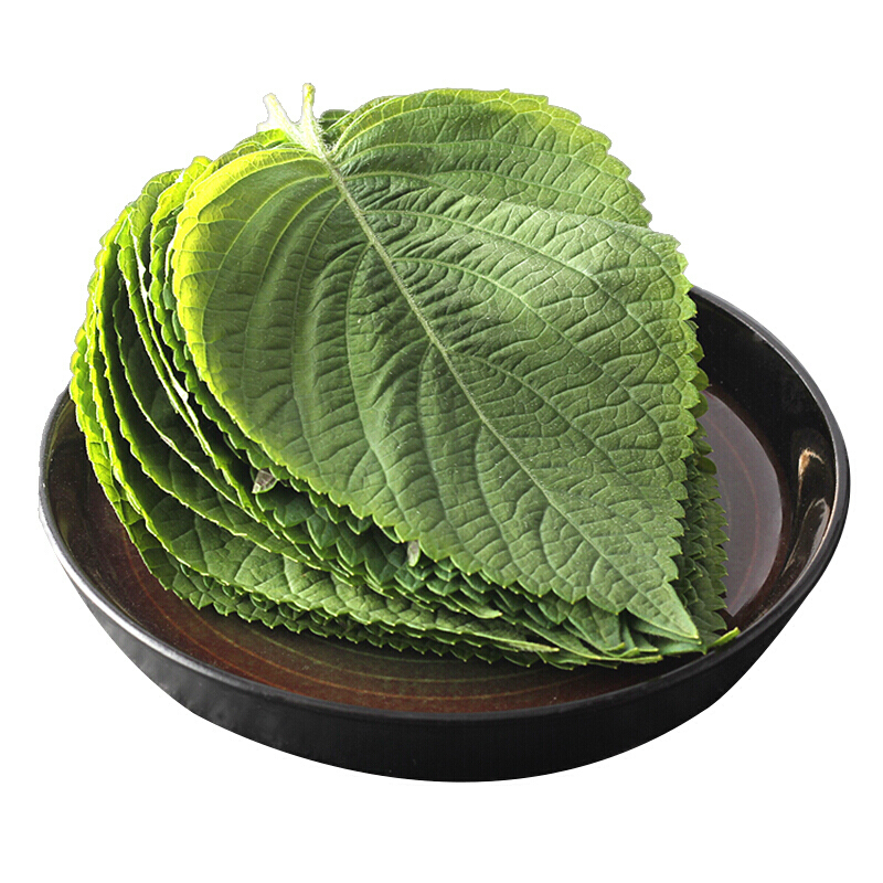 东北特产新鲜紫苏叶苏子叶韩式烧烤烤肉食材蔬菜可开发票2kg