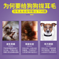 雪貂留香拔耳毛粉35克