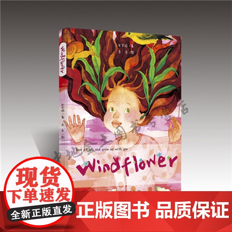 书自营】风之花Windflower作者宋宇晗插画含含 口语化儿童英文范本 二孩家庭暖心成长故事 儿童文学书籍英文文学