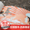 千寻少年·丝绸之路故事集