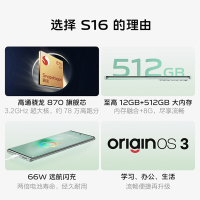 vivo S16 12GB+512GB 玄黑 5G全网通新品骁龙870芯片前置5000万柔光自拍120Hz10亿色超感屏66W闪充拍照游戏学生手机
