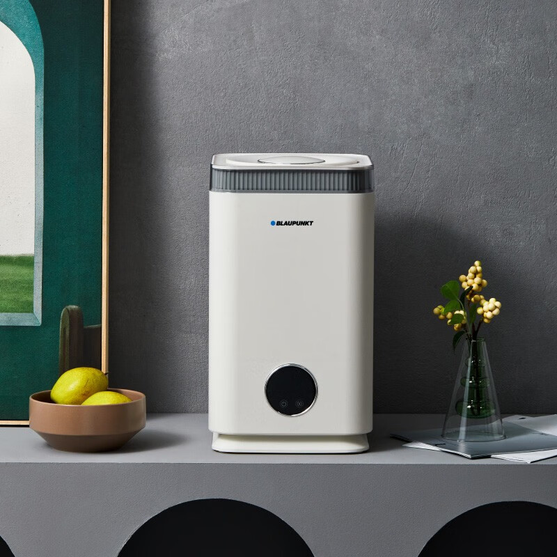 蓝宝(BLAUPUNKT)无雾加湿器家用卧室净化加湿孕妇婴儿热蒸发式低噪音除菌婴儿温雾 皓月白S10