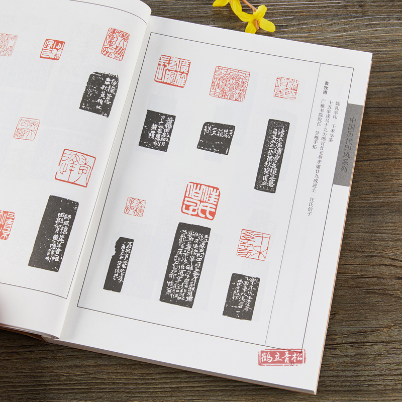 书籍篆刻字典印章印谱印款初学临摹篆刻入门书籍隶书篆书印章800_800