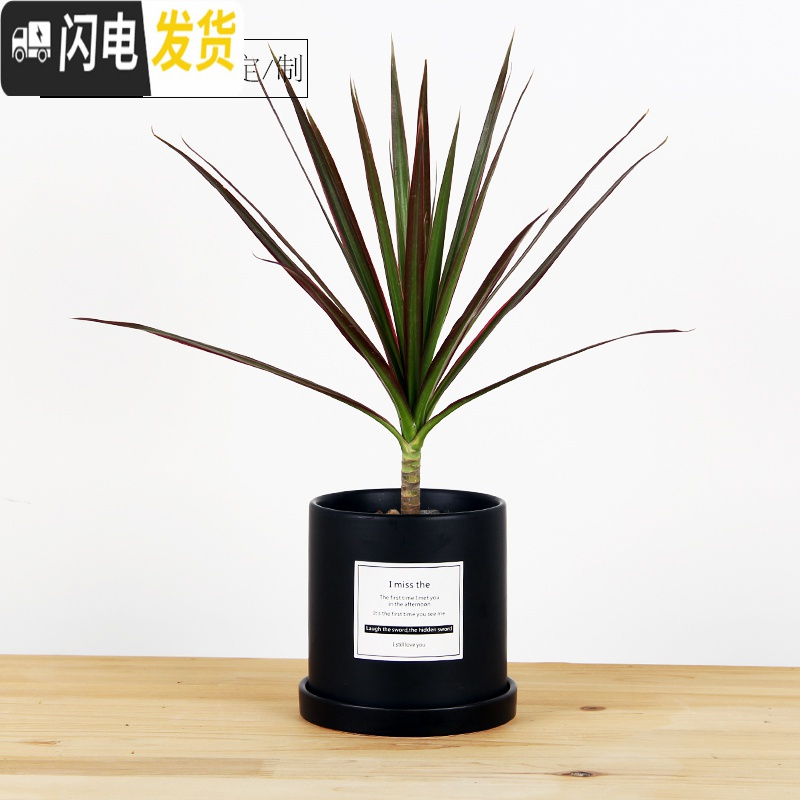 三维工匠简约圆柱ins北欧风格带托盘室内 哑光黑(FORYOU)防水贴纸 小号&middot;口径10cm高11花盆容器