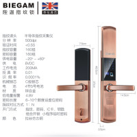 【BIEGAM】陛迦S1指纹锁智能锁电子门锁防盗门电子门锁通用型别墅室外门 【远程密码开锁 】三年质保