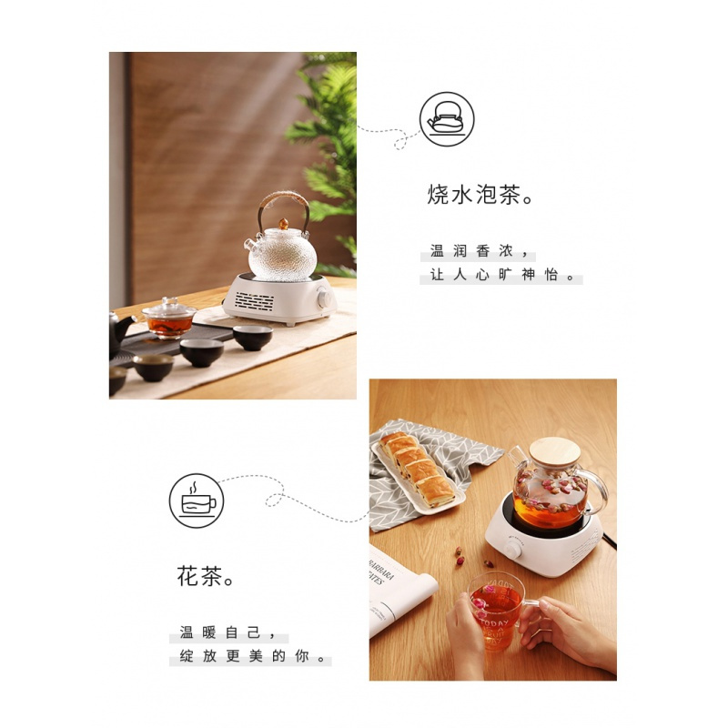 迷你电陶炉家用法耐(FANAI)养生蒸煮茶器小电热泡茶机光波非电磁炉 深灰色