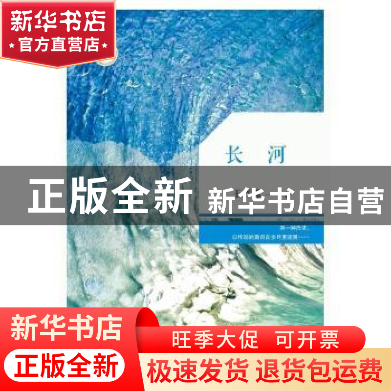 正版 长河 王哲珠著 花城出版社 9787536076983 书籍高清大图