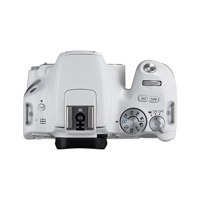 [套餐]佳能(Canon) 迷你数码单反相机 EOS 200D+曼富图(MANFROTTO) 微单相机包