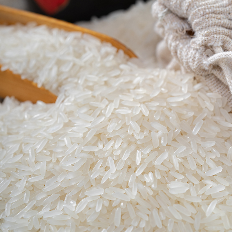 广西大米象牙香米系列20斤整袋象州特产