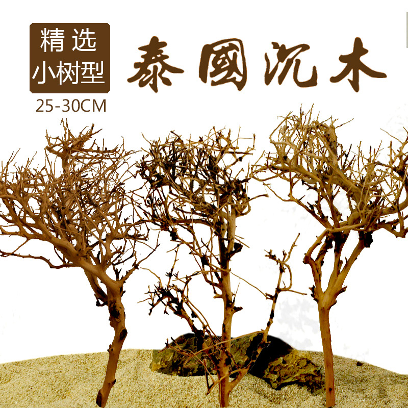 鱼缸造景沉木 泰国沉木流木水沉木 鱼缸水缸沉木小树形看图选购高清大图