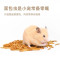 仓鼠零食饲料大罐装720ml面包虫干粉虫主粮刺猬用品金丝熊食物苍鼠花枝粮食