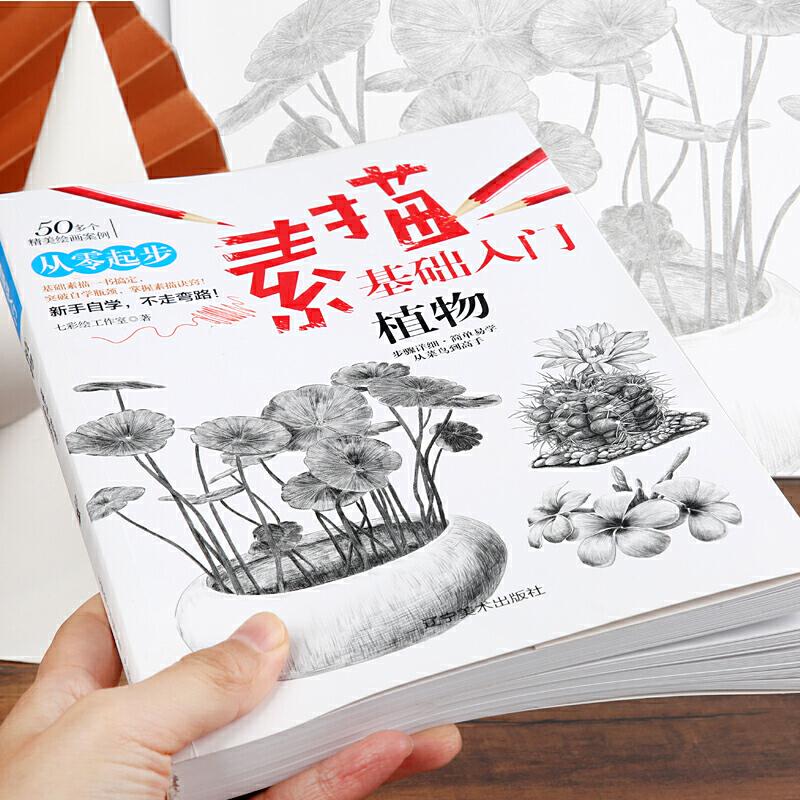 正版新书】素描基础入门--植物七彩绘工作室 绘9787531483205